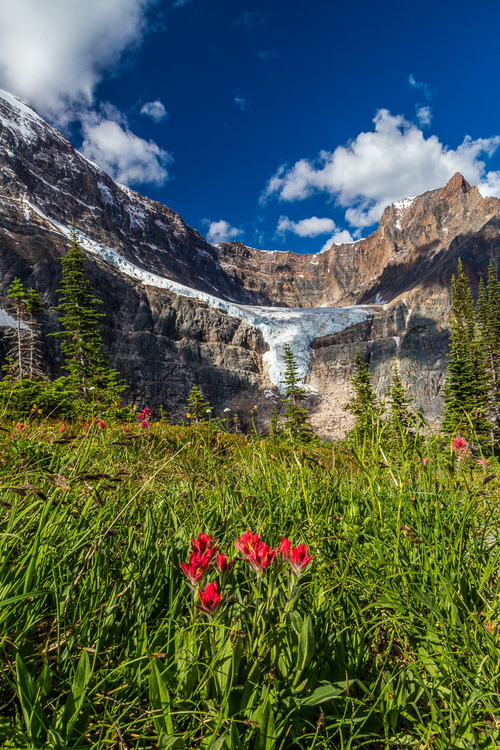 Jasper Mt. Edith Cavell Area