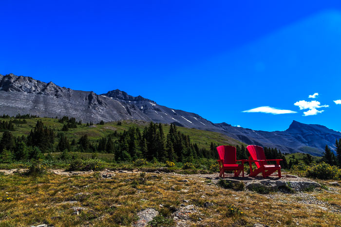 Columbia Icefields Area