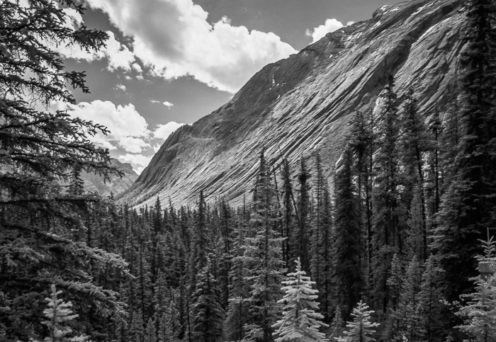 Along the Icefields Parkway - Banff Section