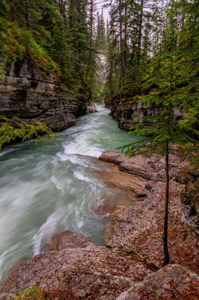 Maligne Canyon