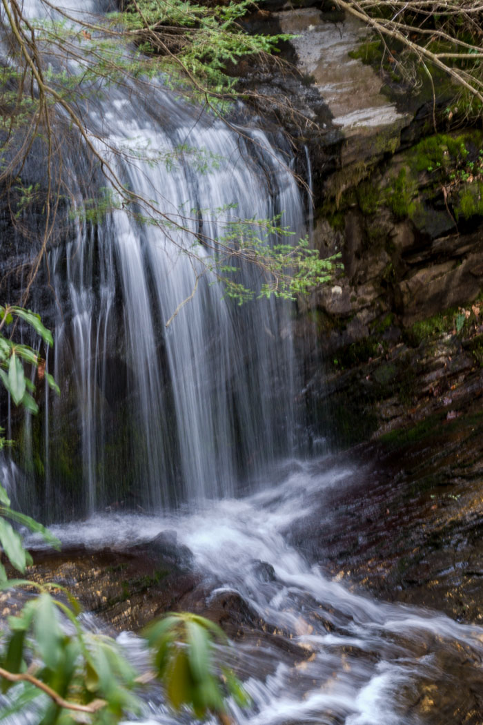 DuPont State Forest