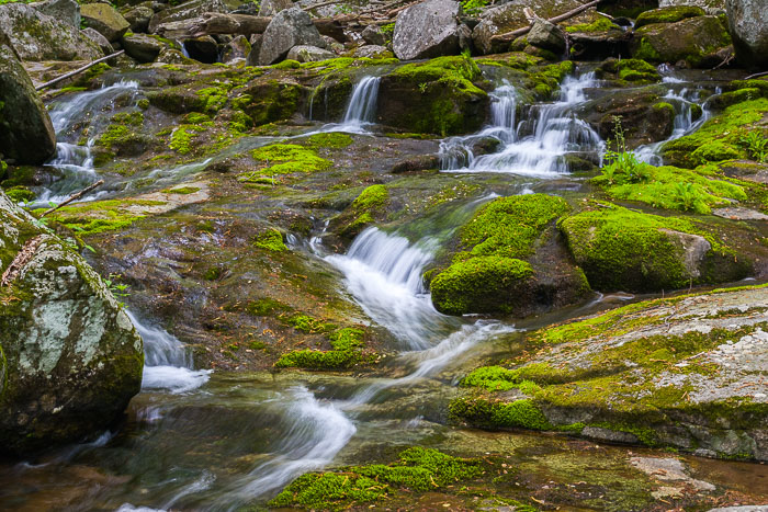 Shenandoah National Park