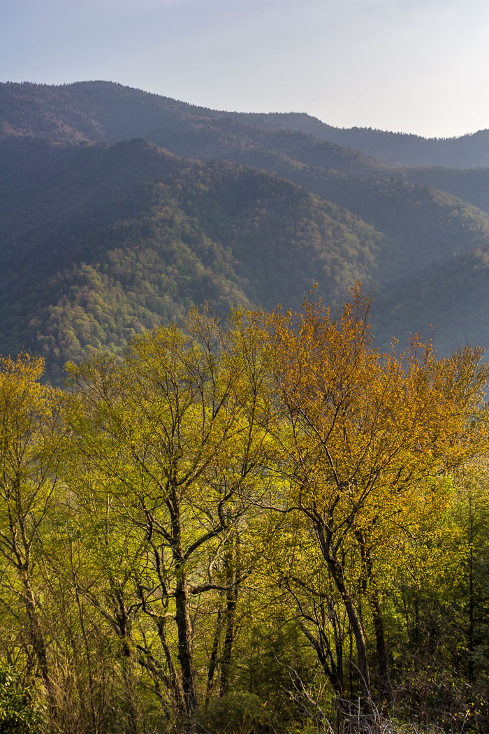 Great Smokey Mountains National Park
