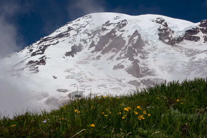 Mt. Rainier National Park