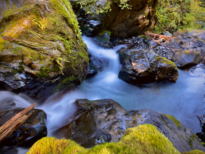 Olympic National Park