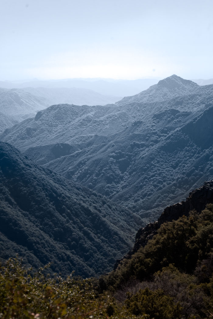 Sequoia-Kings Canyon