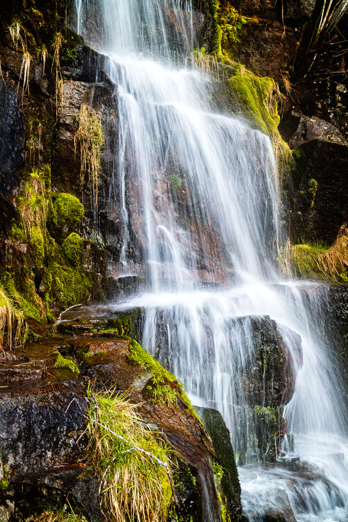 Pacific Region National Parks, Monuments, and Scenic Areas