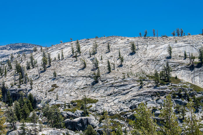 Yosemite Highcountry