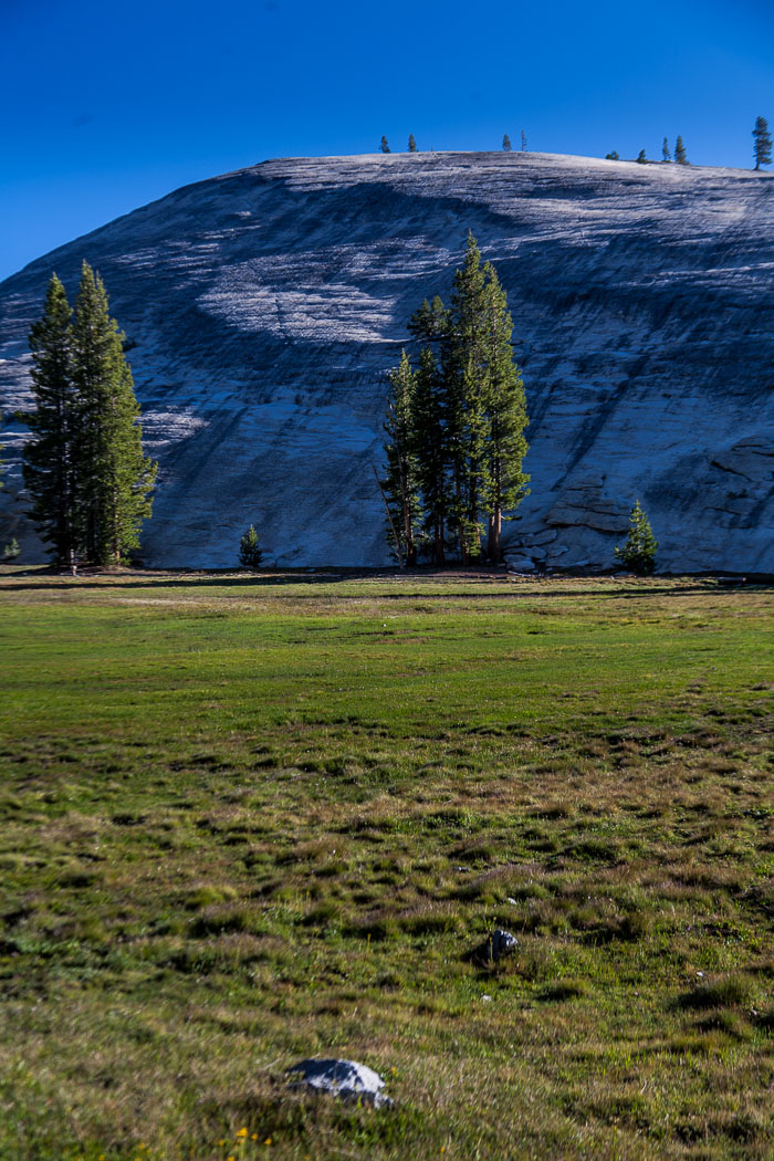 Yosemite Highcountry