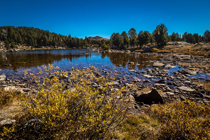 Beartooth Pass