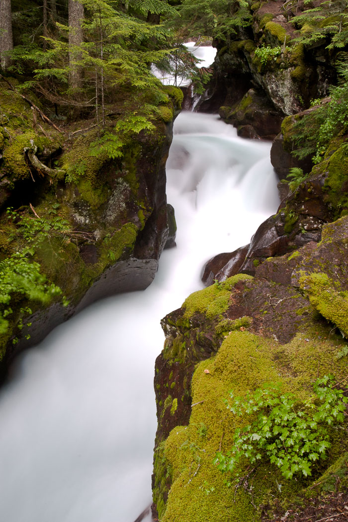 Avalanche Creek and Lake Trail