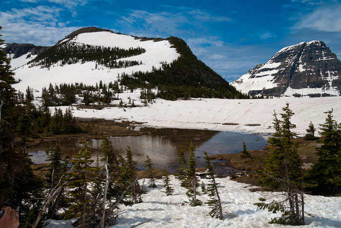 Going To The Sun Rd and Logan Pass