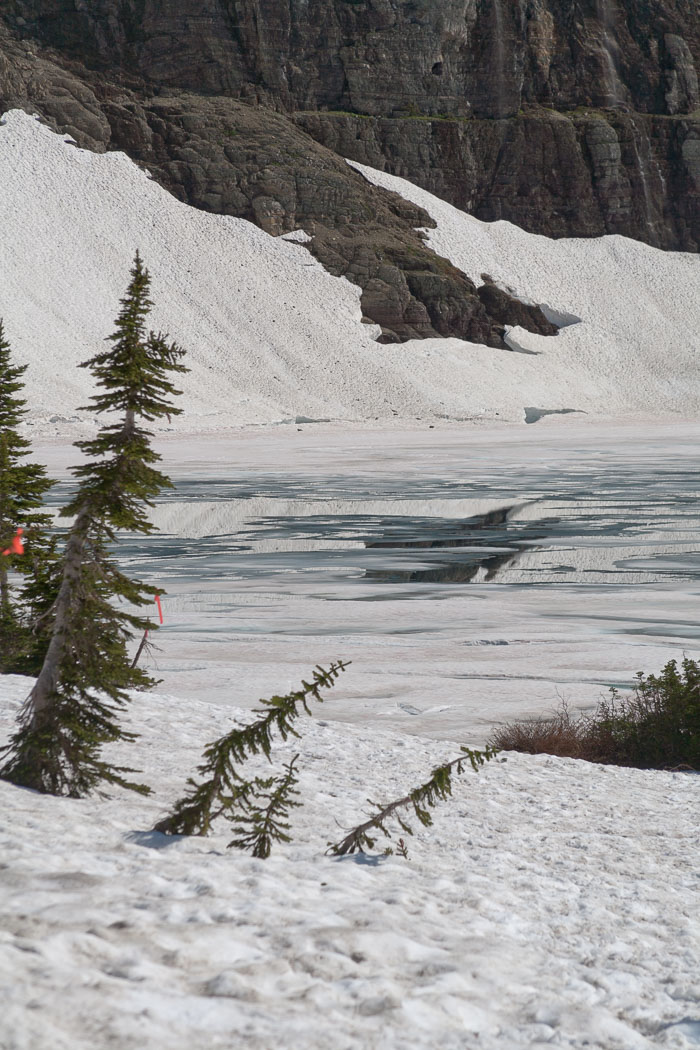 Many Glacier
