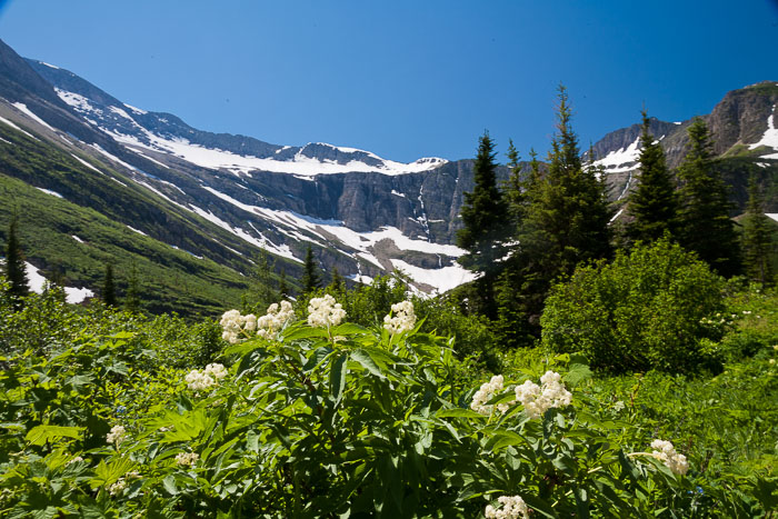 Many Glacier