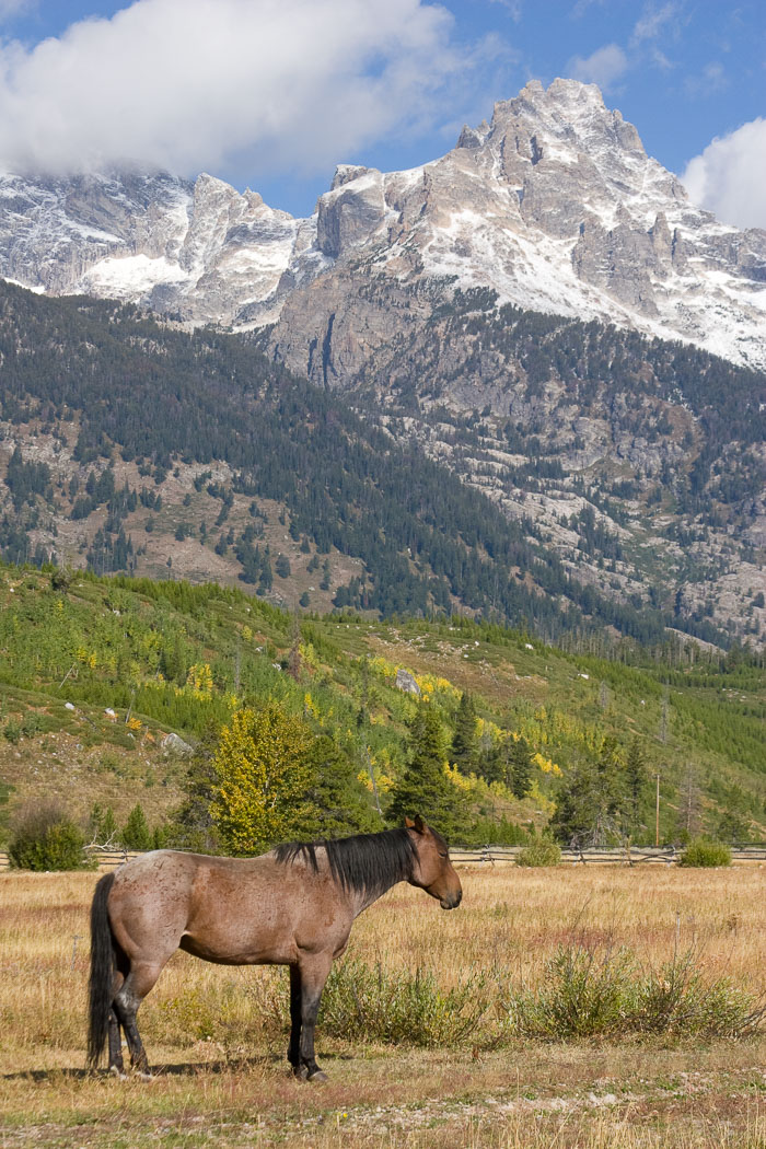 Grand Teton National Park 
