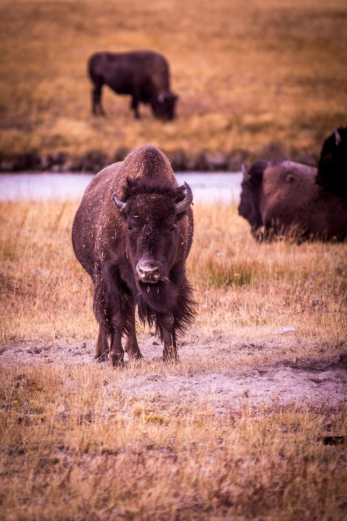 Rocky Mountain Region Parks
