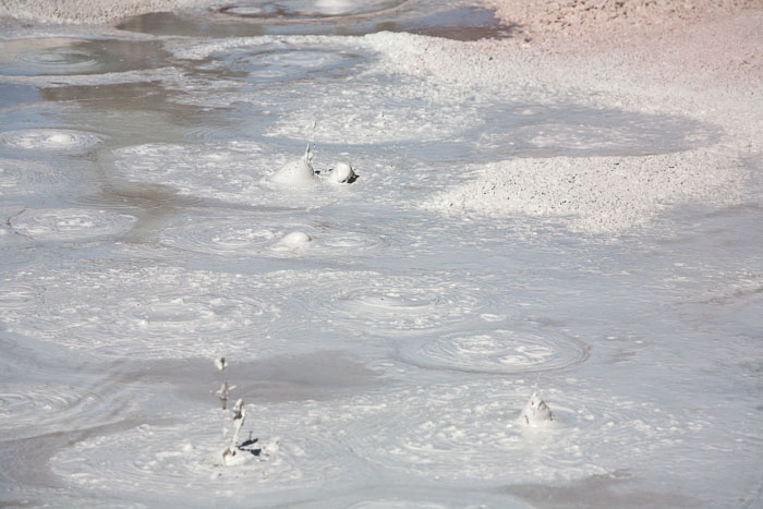 Yellowstone Mudpots