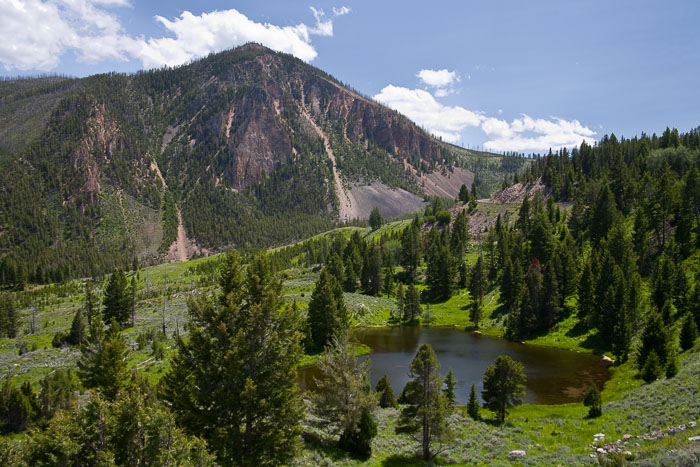 Yellowstone Scenics