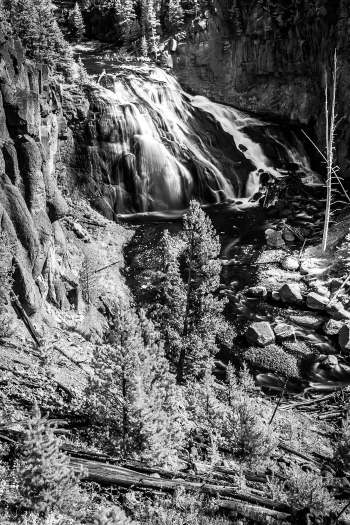 Yellowstone Scenics