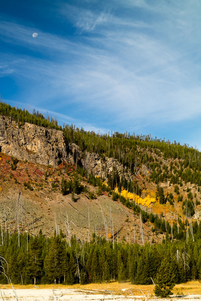 Yellowstone Scenics