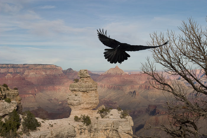 Desert Southwest National Parks and Monuments
