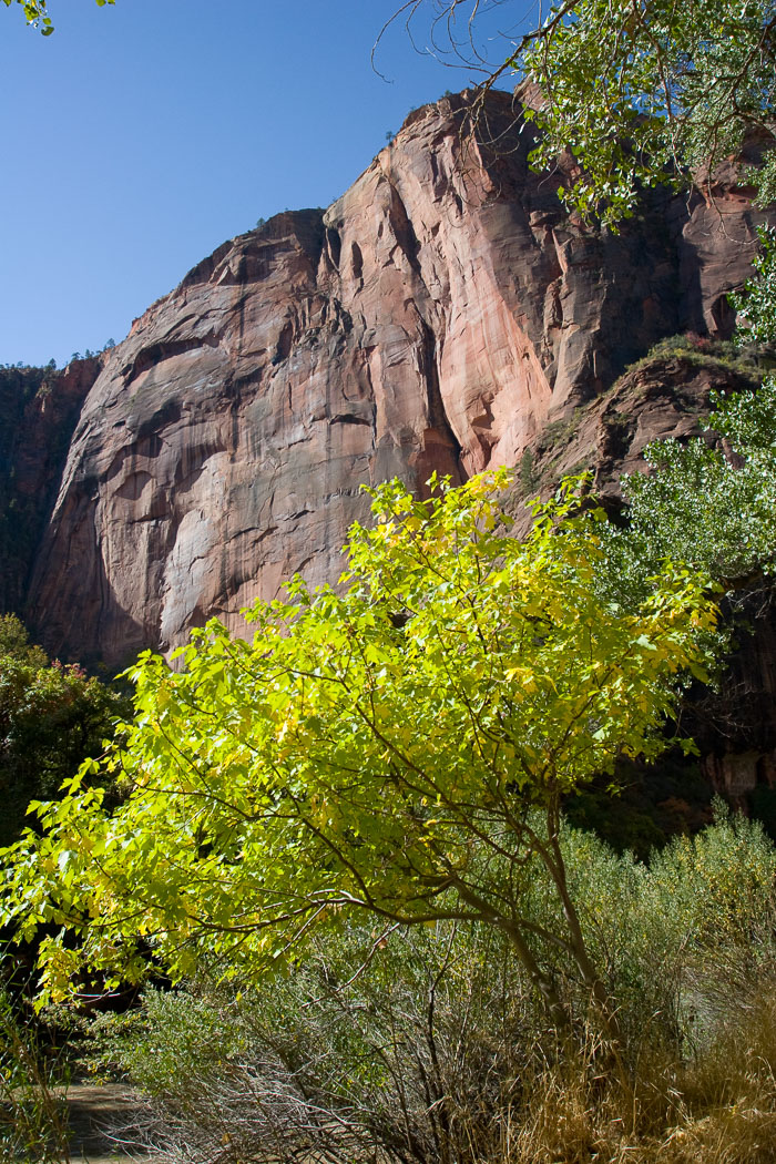 Zion National Park