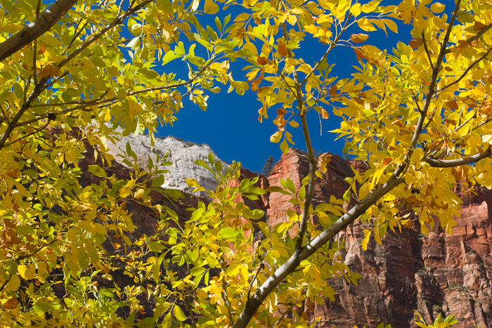 Zion National Park