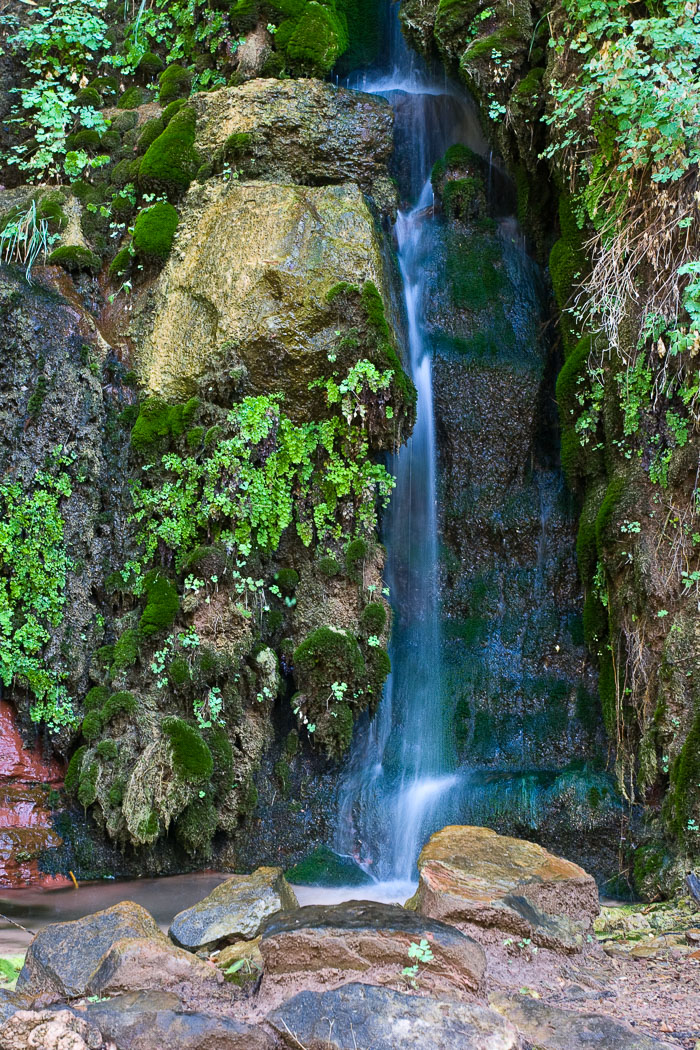 National Parks, Monuments, and Forests