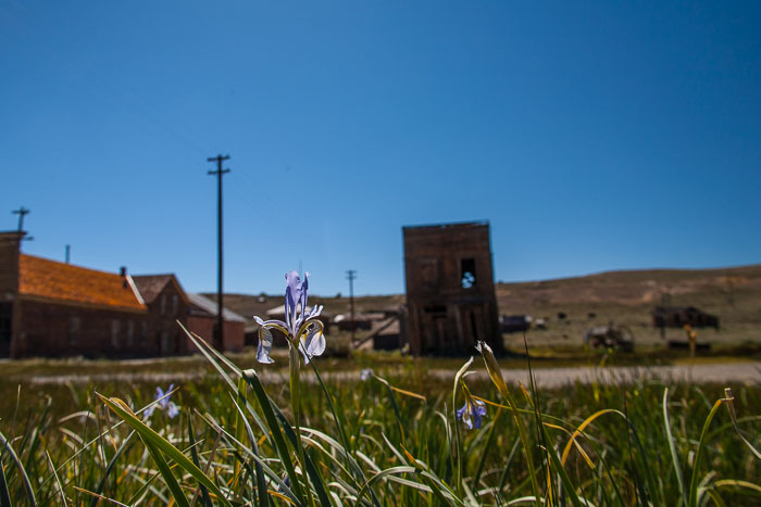 Bodie Ghost Town (color)