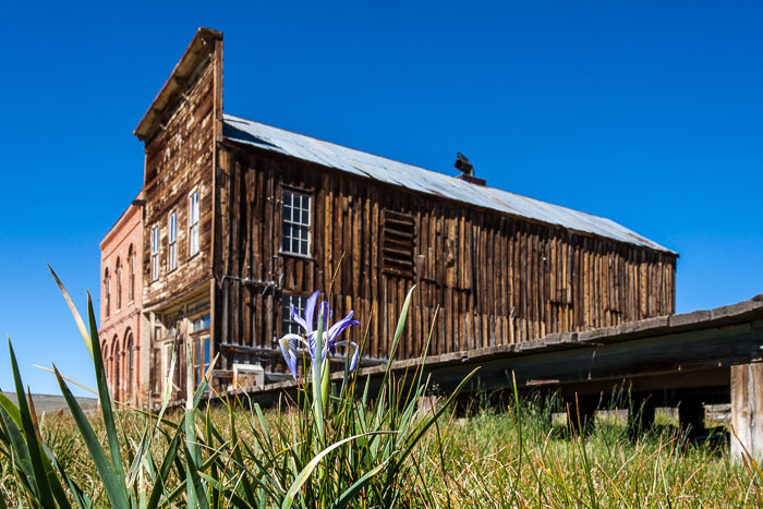 Bodie Ghost Town (color)
