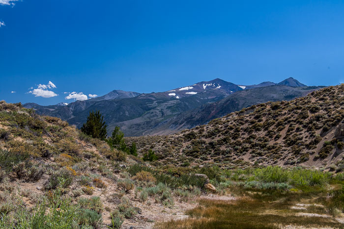 Mono Lake Area