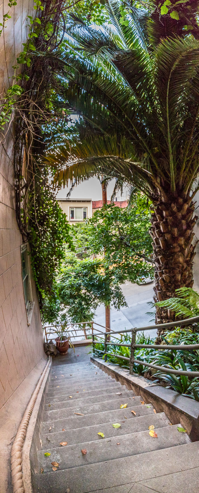 Secret stairs and special places on Russian Hill