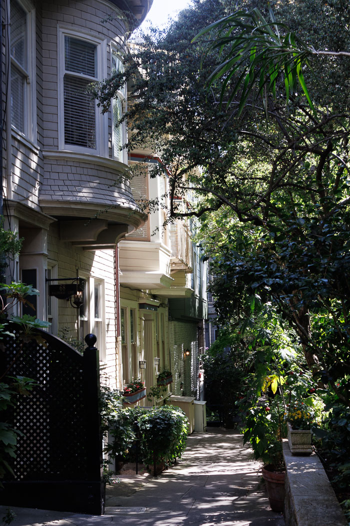 Secret stairs and special places on Russian Hill
