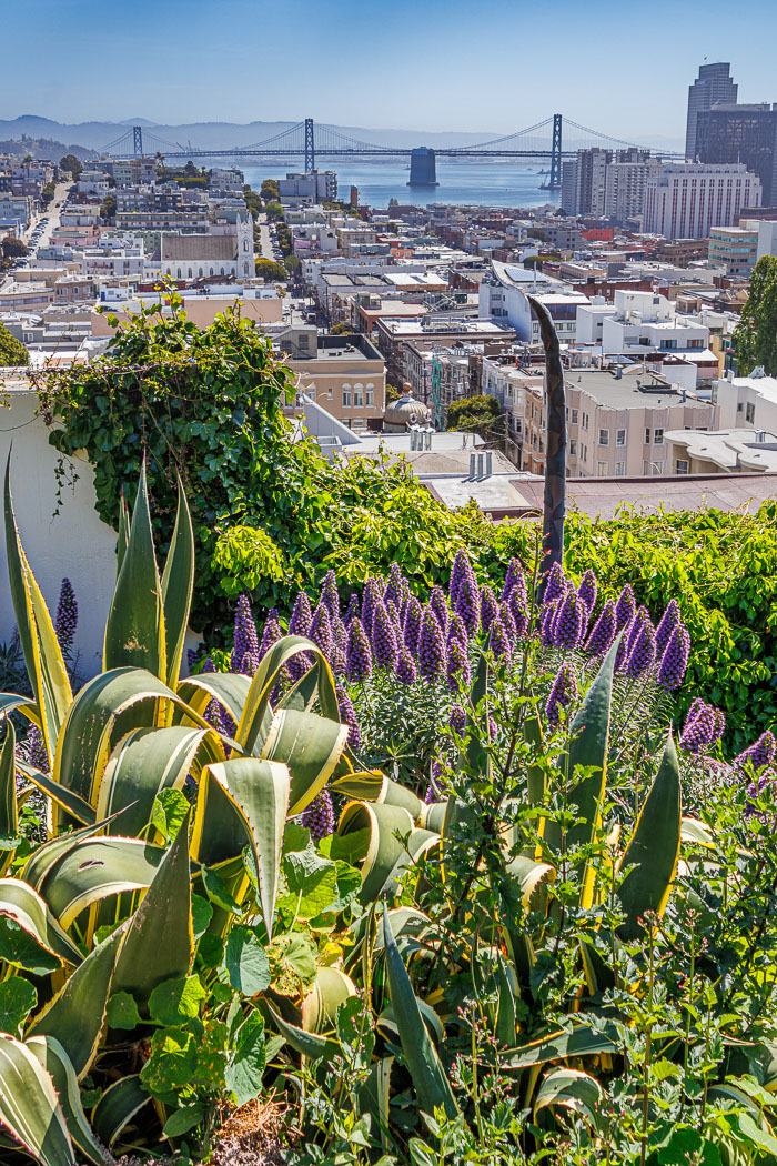 Secret stairs and special places on Russian Hill