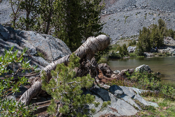 Virginia Lakes