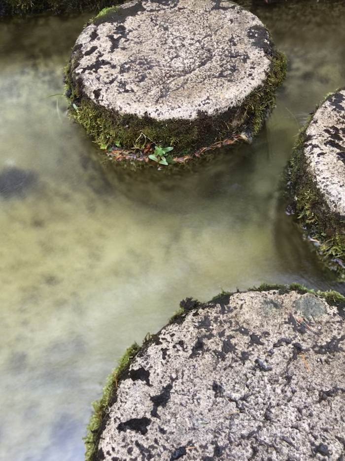 Belnap Springs Resort