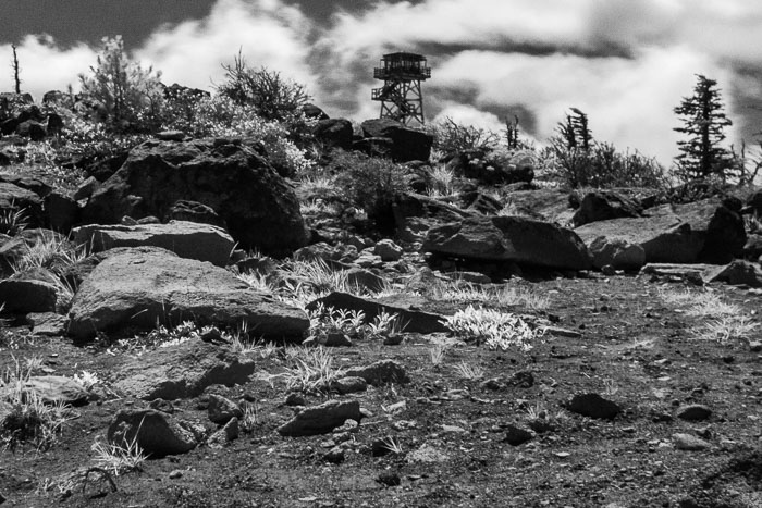 Black Butte Summit hike