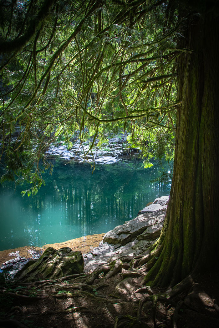 Cedar Creek Grist Mill