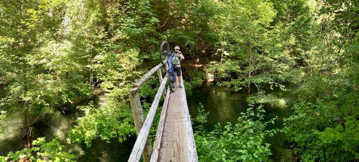 Mckenzie River Valley