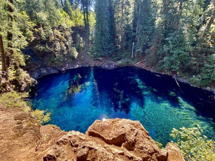 Mckenzie River Valley