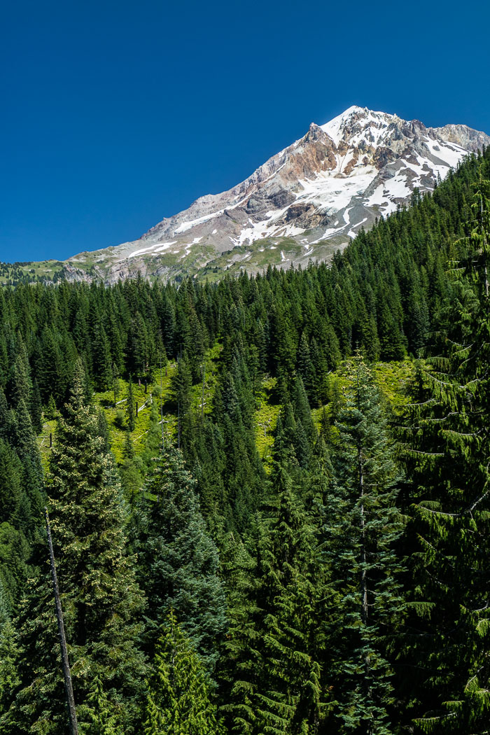 Mt. Hood Summer