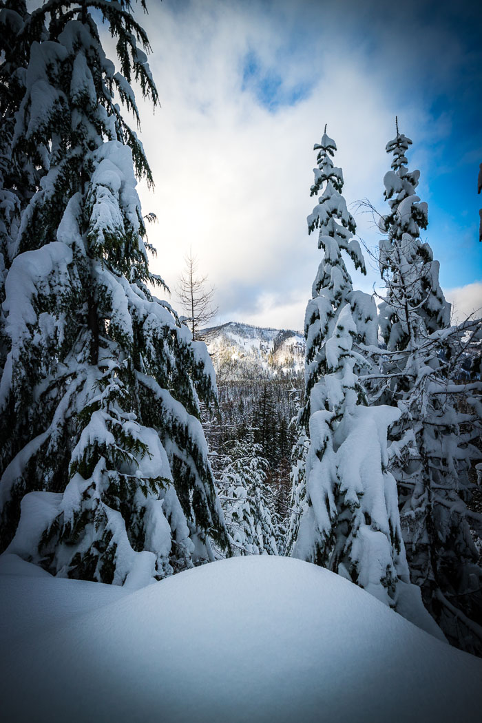 Mt. Hood Winter
