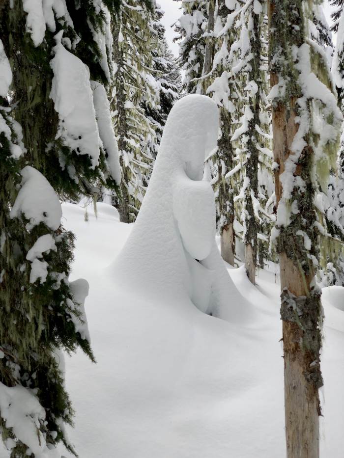 Mt. Hood Winter