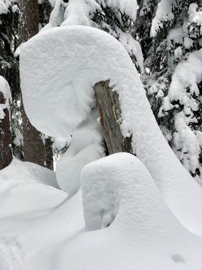 Mt. Hood Winter