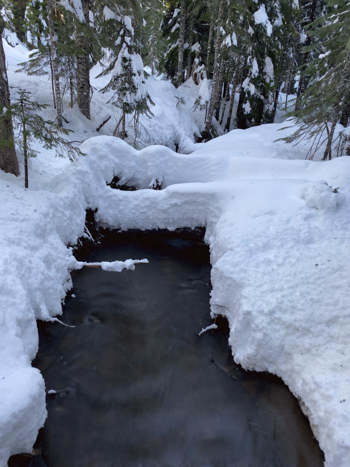 Mt. Hood Winter