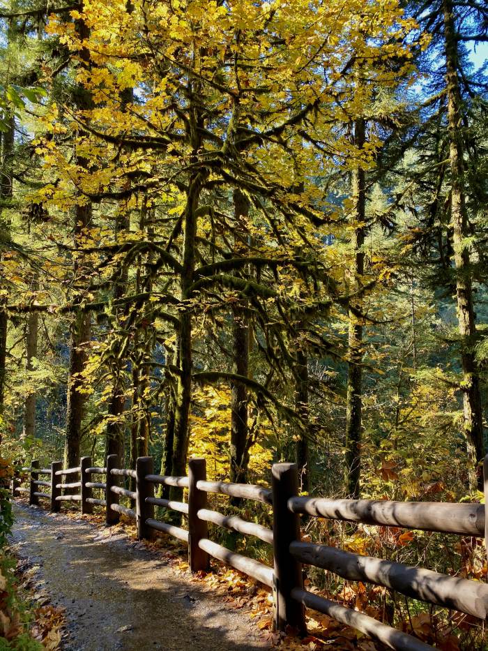 Silver Falls State Park