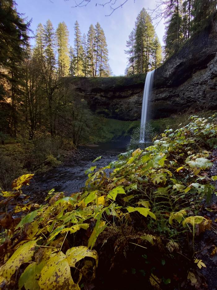 Silver Falls State Park