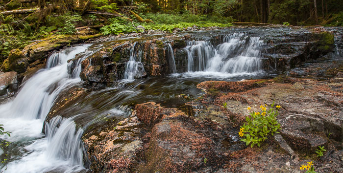 Siouxon Creek Trail