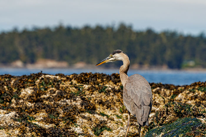 San Juan Islands