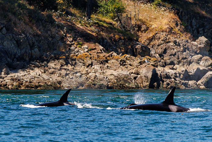 San Juan Islands